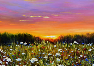 Sunset over a Meadow