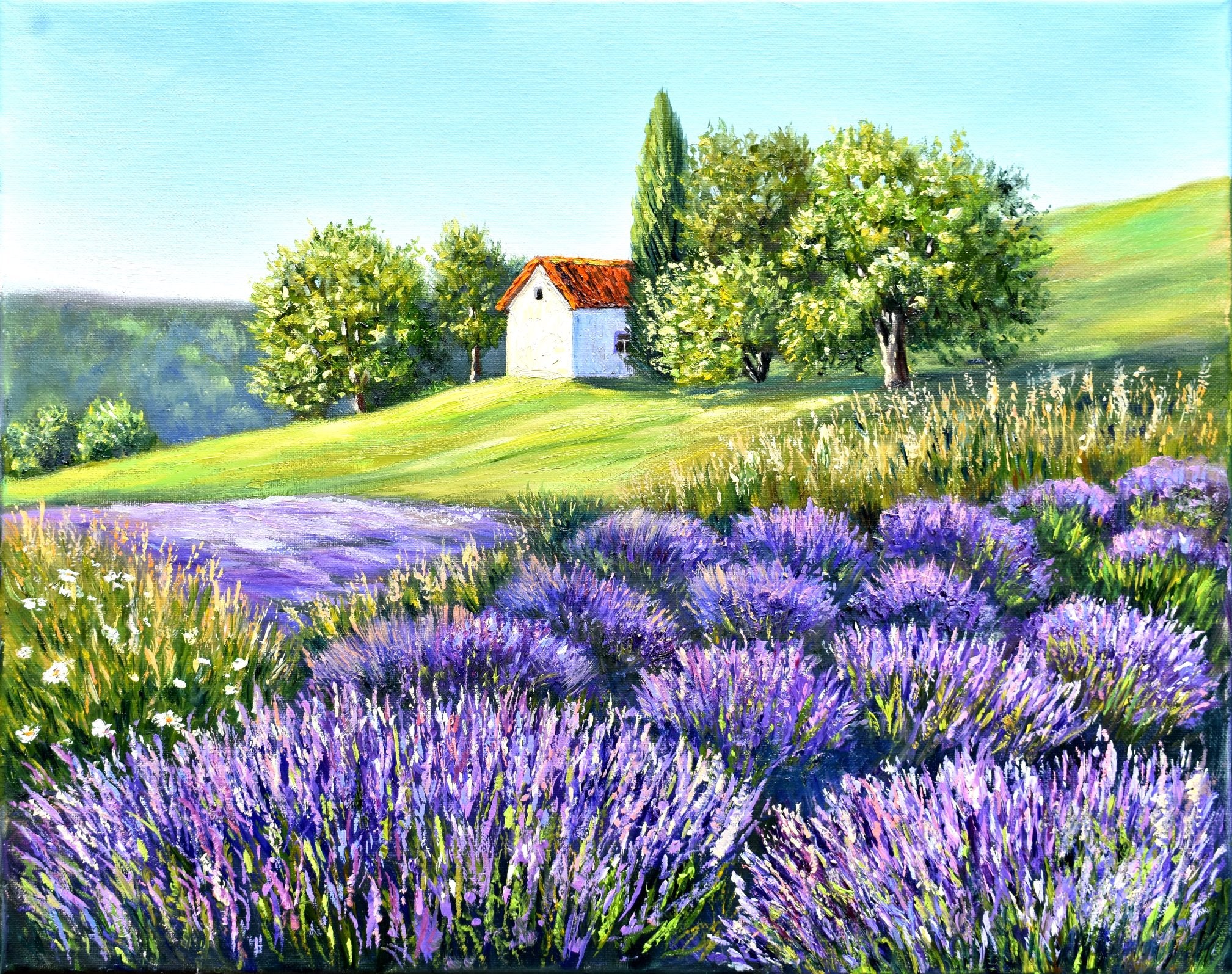 Lavender Summer