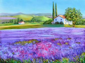 A Day in Provence